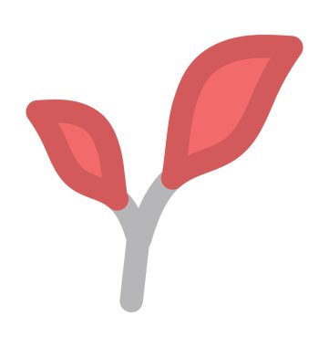 bitkisel düz vektör simgesi