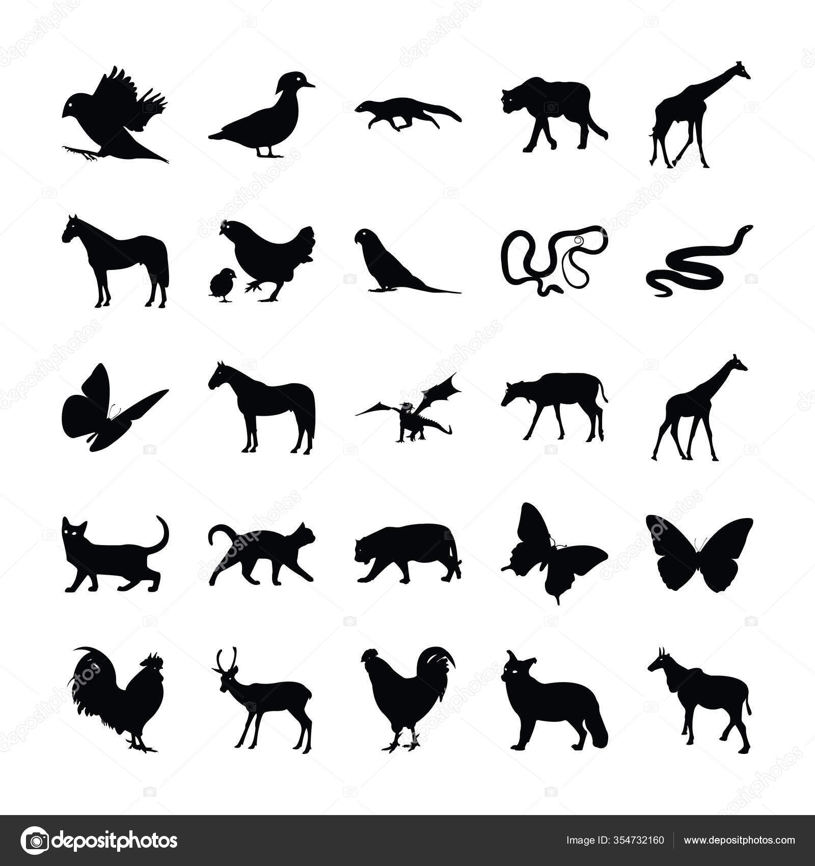 Animals Silhouette Vector Collection Stock Vector Image by