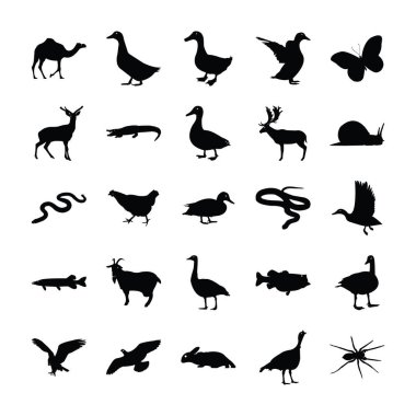 Vahşi hayvanlar Icons set