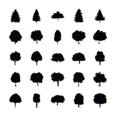 Tropikal Ağaç Simgesi Silueti