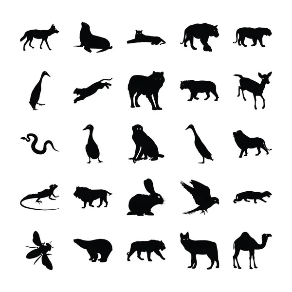 Animales Paquete Iconos Sólidos — Archivo Imágenes Vectoriales