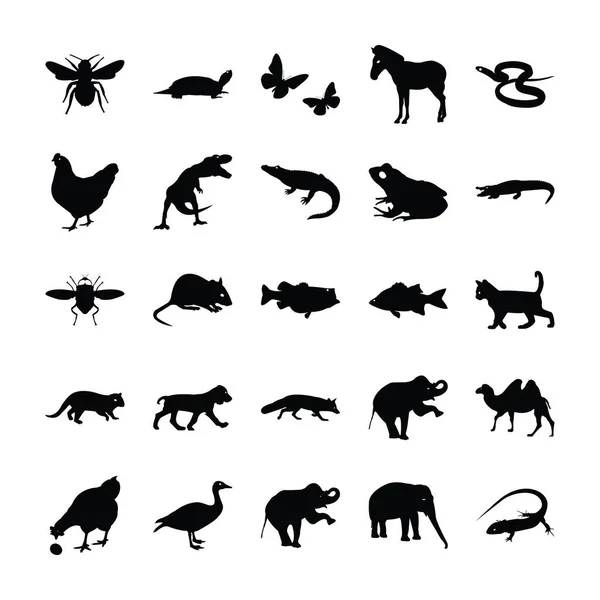 Animais Selvagens Ícones Glyph —  Vetores de Stock