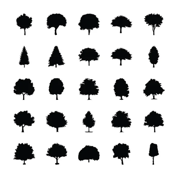 Buschige Bäume Vektor Silhouette — Stockvektor