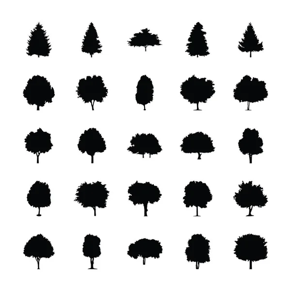 Τροπικό Δέντρο Εικονίδια Silhouette — Διανυσματικό Αρχείο