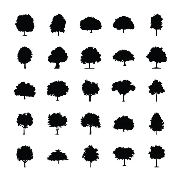 Trees Design Glyph Conceptual Icons — Stock Vector