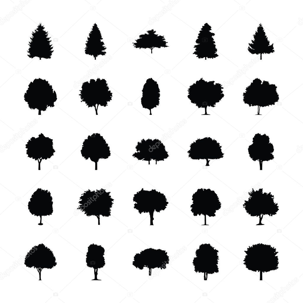 Tropical Tree Icons Silhouette