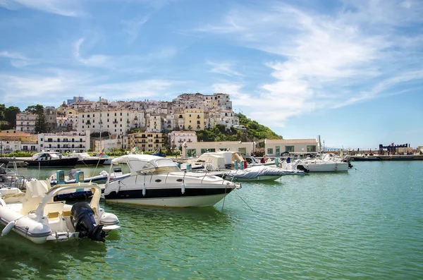 ボートの港の典型的なイタリアの海辺の村ローディ ・ ガルガーニコ Garg — ストック写真