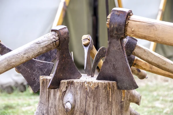 Топоры бревенчатый корешок дровосека — стоковое фото