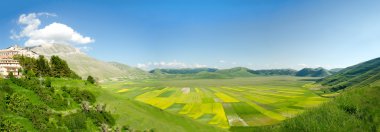 cultivated fields of Pian Prande of Castelluccio di Norcia Perugia clipart