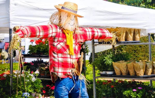 Lächelnde Vogelscheuche Bauernmarkt — Stockfoto