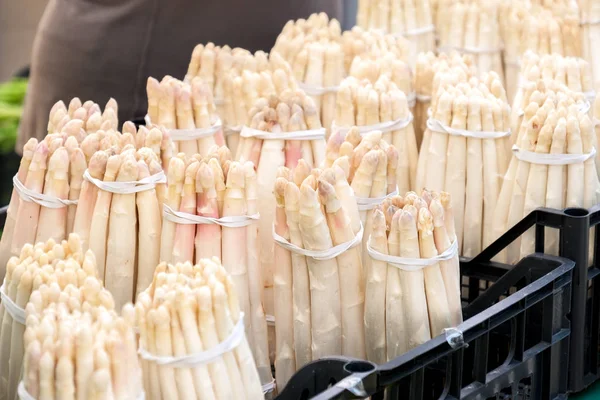 Klasar Vit Sparris Från Bassano Del Grappa Italien — Stockfoto