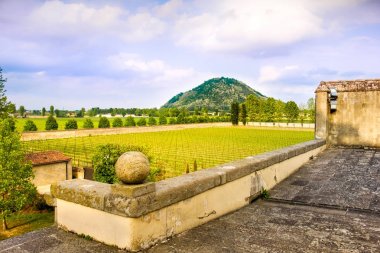 euganean hills praglia wineyard - Padua - Veneto - Italy clipart