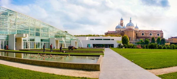 Orto Botanico di Padova (Padua Botanik Bahçesi), Unesco mirası İtalya ve Padua arka planda Santa Giustina Katedrali
