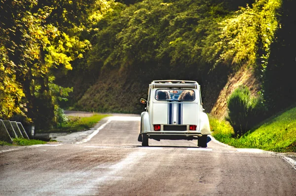 Vintage car country winding road back view friends road trip — Stock Photo, Image
