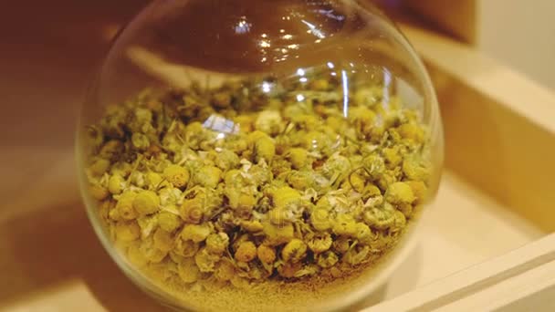 Ромашковые цветы сушеные травяные чайные магазины — стоковое видео