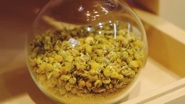 heřmánkový květ sušený bylinný čaj obchod