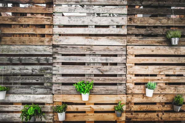 Grunge Textur Kopierraum grüne Daumenpaletten hölzerner Hintergrund — Stockfoto