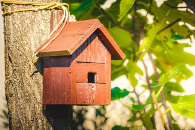 birdhouse wooden copyspace orange birds home tree birdbox