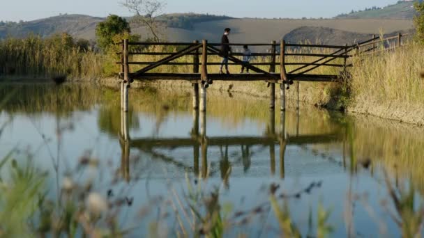 Mother and baby cross wooden pier with reflections on pond in warm sunset autumn light in beautiful natural hill contest in Colli Bolognesi — Stock Video