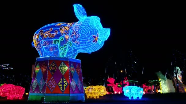 Cerdo en animales del zodiaco chino en el fondo del festival de la linterna — Vídeos de Stock