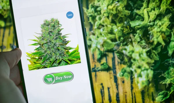 Luz de cannabis tienda online comprar ganja luz con smartphone . — Foto de Stock
