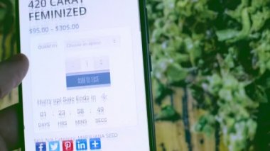 kenevir ışığı internet üzerinden akıllı telefonlu kenevir ışığı satın al.