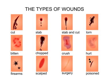 the types of wounds clipart