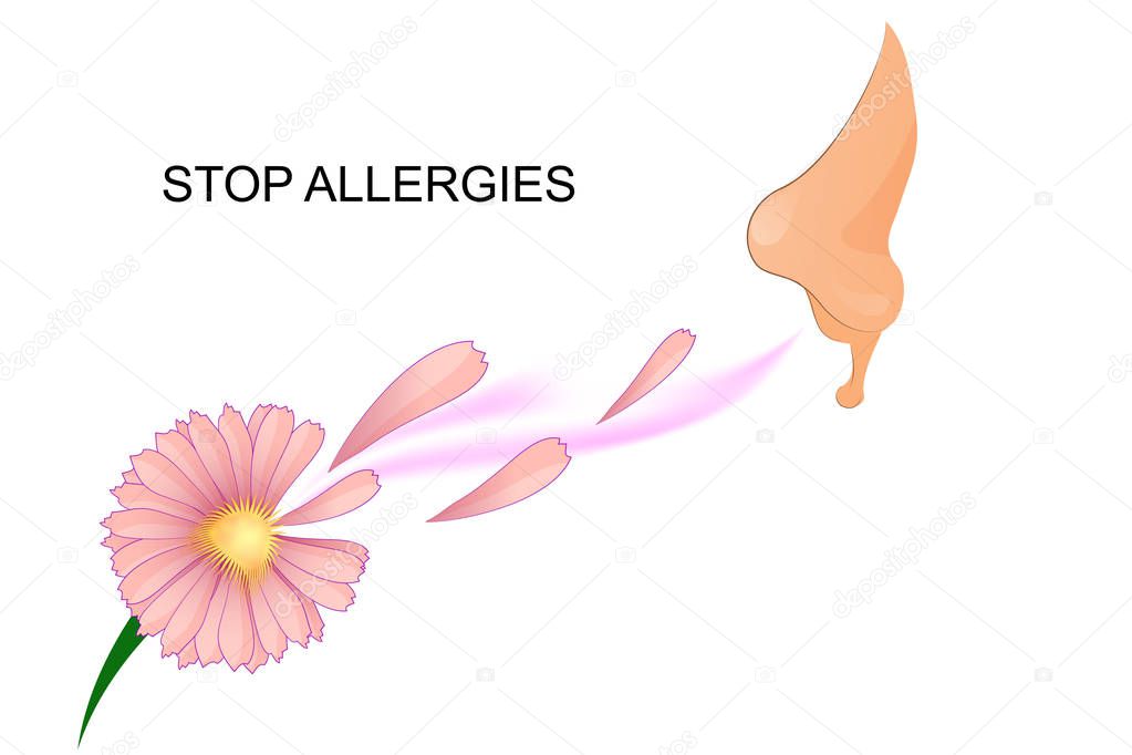 illustration of the nose sniffing a flower.
