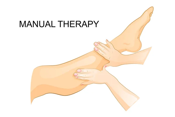Ручная терапия. Женская нога. массаж ног — стоковый вектор
