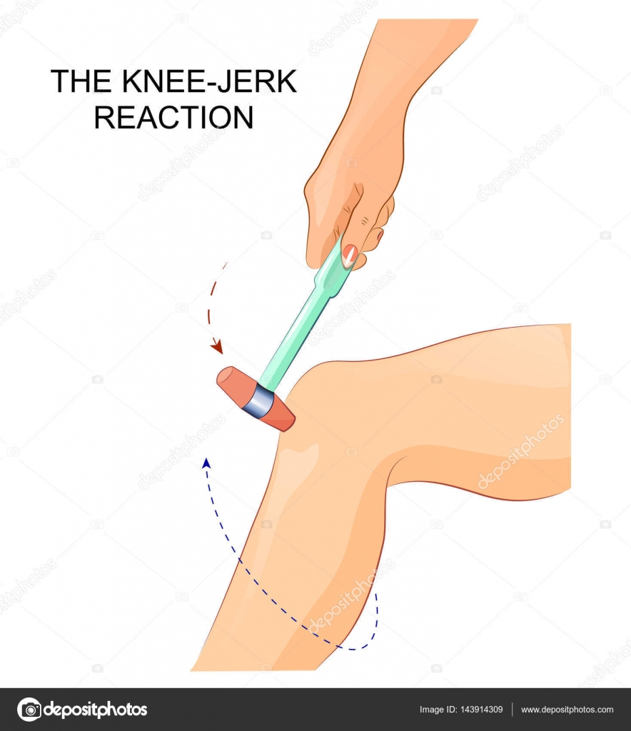 depositphotos_143914309-stock-illustration-the-knee-jerk-reflex.jpg