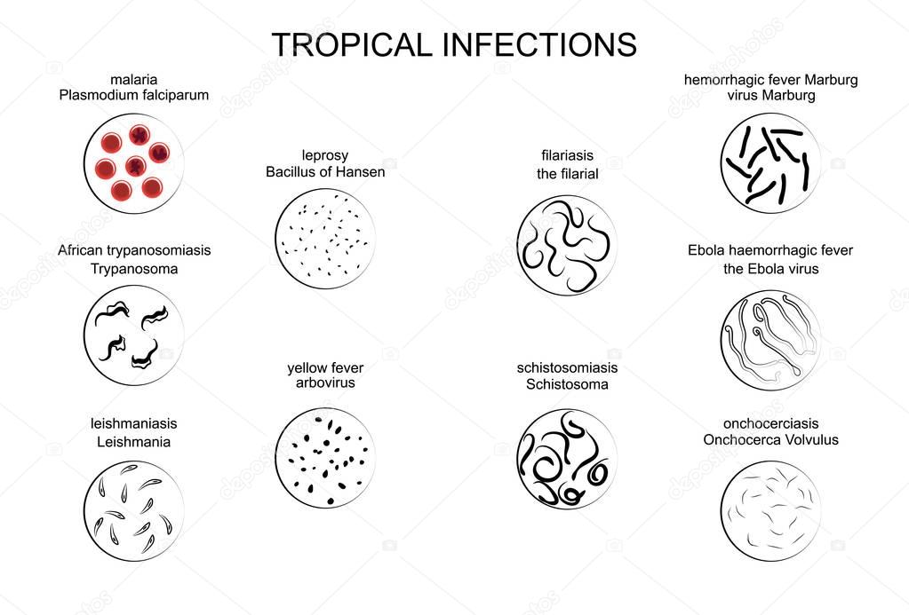the pathogens of tropical infections