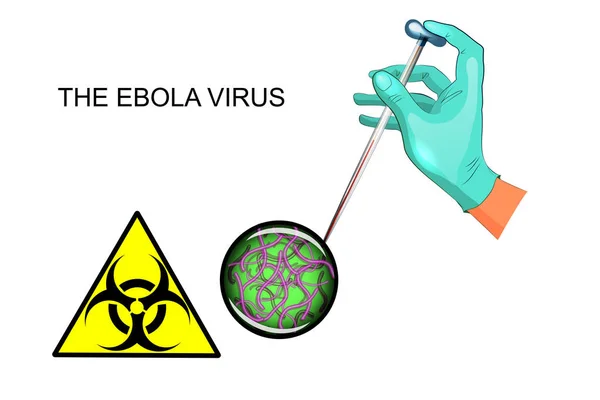 エボラ出血熱ウイルス、手、血で研究室のピペット — ストックベクタ