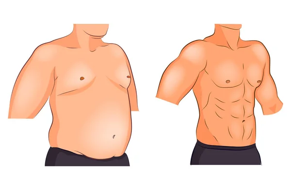 Mannelijke torso vóór en na gewichtsverlies en sport — Stockvector