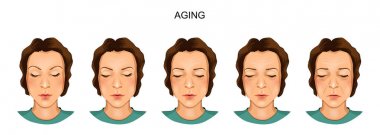 yaşlanma kadın yüzü modeli