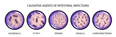 the causative agents of intestinal infections clipart