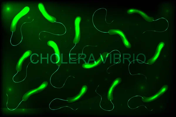 Vibrio del cólera. bacterias — Vector de stock