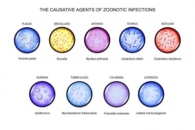the causative agents of zoonotic infections clipart