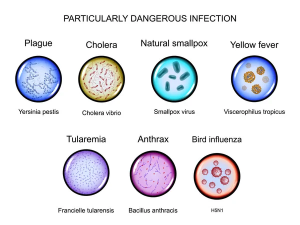 Özellikle tehlikeli enfeksiyonlar — Stok Vektör