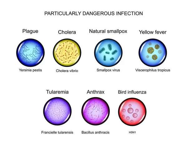 Infecciones particularmente peligrosas — Vector de stock