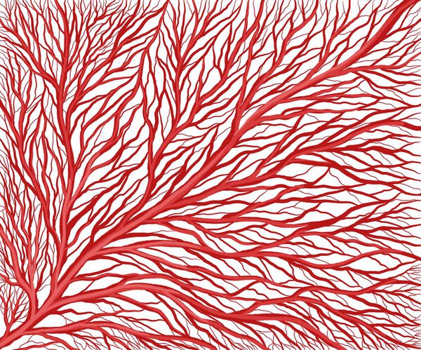 illustration of stroke, branching of the vascular capillary network