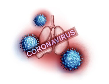 Coronavirüs 'ün patojeni. 