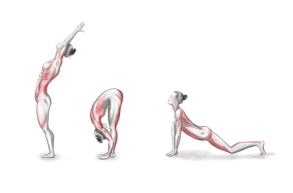 Ilustración Las Poses Yoga Asanas —  Fotos de Stock