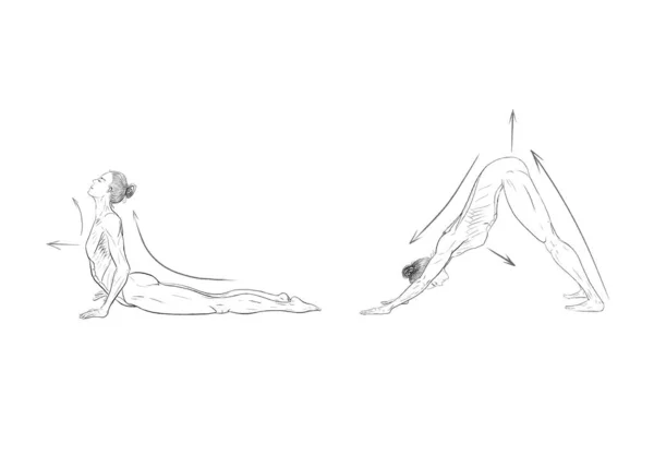 Illustration Der Yoga Posen Asanas — Stockfoto