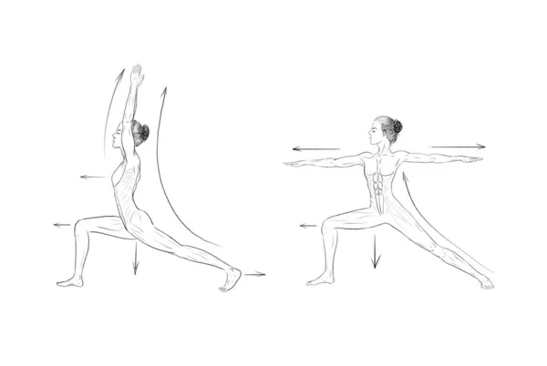 Ilustrasi Tentang Pose Yoga Asanas — Stok Foto
