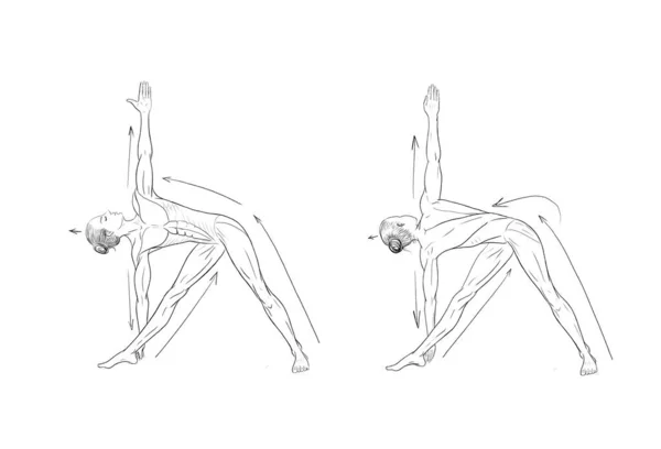 Illustration Des Poses Yoga Asanas — Photo