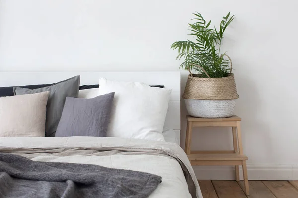 Quarto cama interior e mesa de cabeceira com planta — Fotografia de Stock