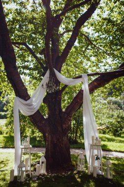 Bir düğün için doğada photozone