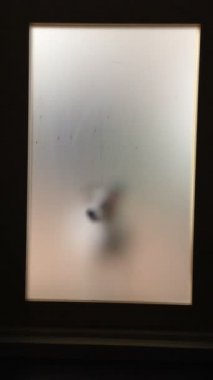 Kirli cam kapının köpek içine girmek