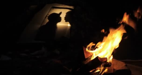 Silhouette of a kissing couple in tent near fire — Stock Video