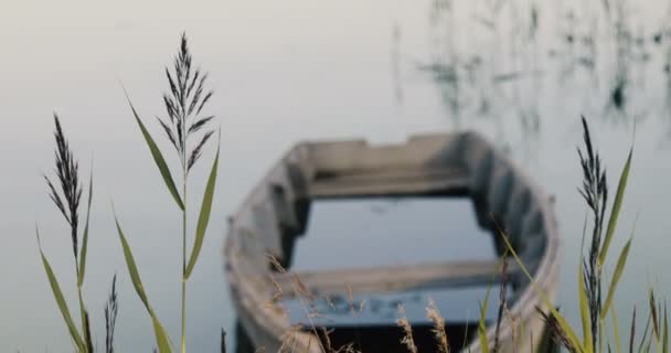 Gölün kıyısında eski teknede — Stok video